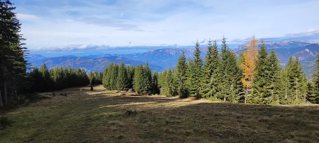 am ,,scharz/weißen" Grenzverlauf entlang geht's über Wiesen hinauf... | Foto: I.Wozonig