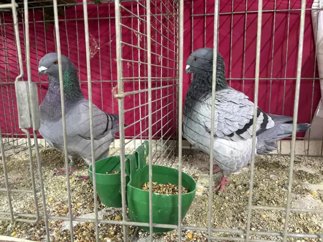 Foto: Daniel Schmidt