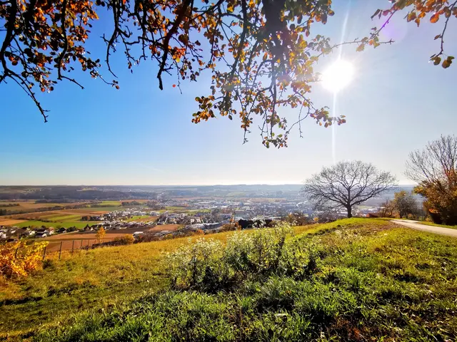 Sonniges Herbstwetter zieht über die Steiermark. | Foto: Nina Steiner