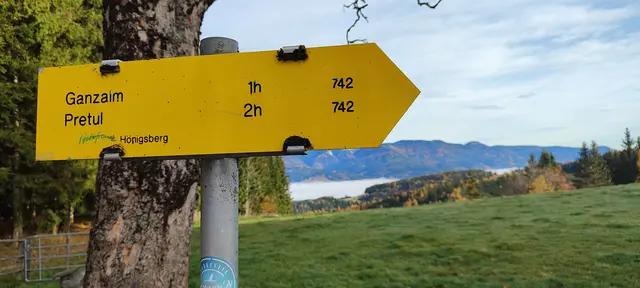 etwa eine Stunde geht es eine Forststraße entlang... | Foto: I.Wozonig