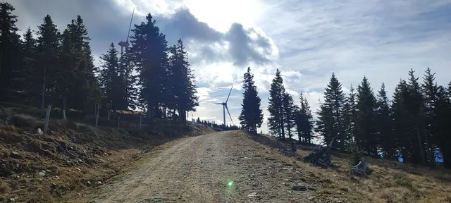 wir gehen jetzt nicht zur Amundsenhöhe hinauf, sondern gehen die Straße entlang zum Roseggerschutzhaus weiter... | Foto: I.Wozonig