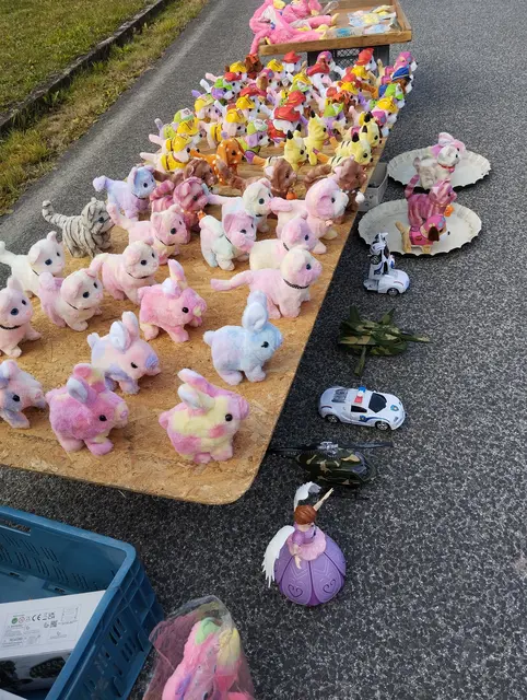 Hasen, Hunde, Katzen und anderes Getier | Foto: Veronika Frank