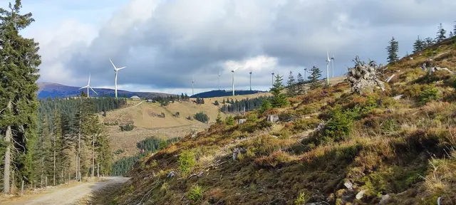 zur Schwarzriegelalm hinübergeschaut... | Foto: I.Wozonig