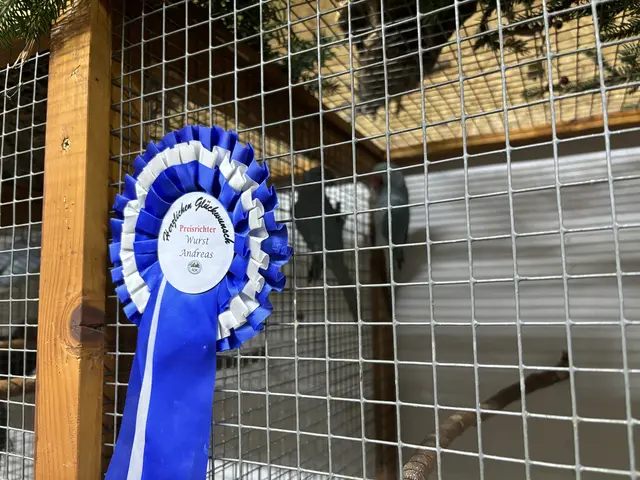 Foto: Daniel Schmidt