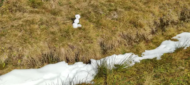 ein paar Schneereste und ein trauriger Schneemann, beim Rückweg hat er schon sein Leben ausgehaucht... | Foto: I.Wozonig