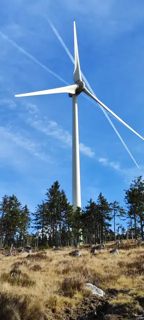 der Windpark Pretul umfasst 18 Windräder... | Foto: I.Wozonig