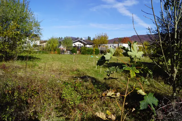 Diese Grünfläche sollte verbaut werden. | Foto: Josef Wind