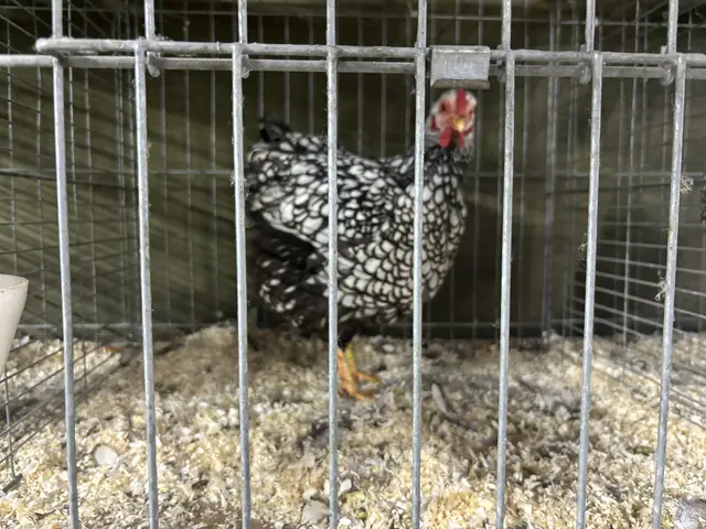 Foto: Daniel Schmidt