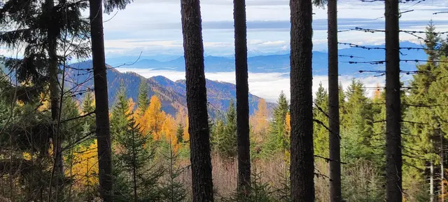 immer wieder sieht man in's Tal... | Foto: I.Wozonig