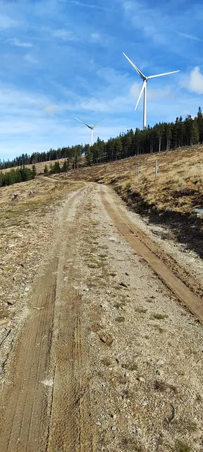 immer der Nase nach... | Foto: I.Wozonig