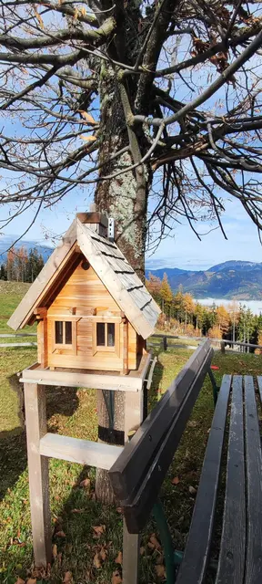 das hübsche Vogelhäuschen ist gut gefüllt... | Foto: I.Wozonig