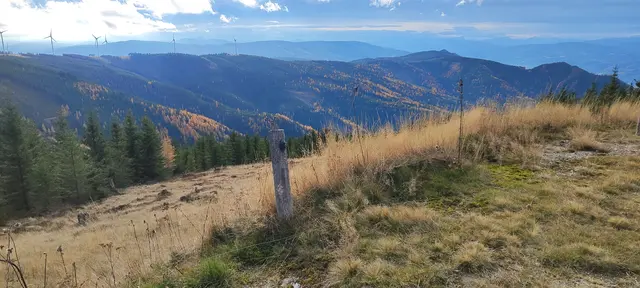 am Rückweg lässt die Sonne und das Leuchten der Lärchen nach... | Foto: I.Wozonig