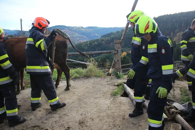 Foto: HFM Patrick Marcher