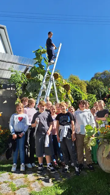 Die Sonnenblume stand im Zentrum des Wettbewerbes. Buben und Mädchen waren mit Feuereifer dabei. | Foto: OGV