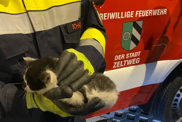 Die kleine Katze wurde befreit. | Foto: FF Zeltweg