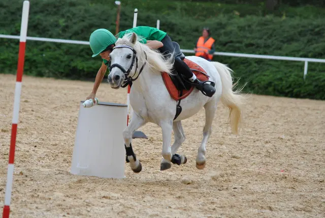 Foto: Fotocredit Miteinander Füreinander