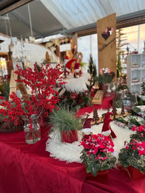 Am 22. und 23. November 2025 findet ein Adventmarkt in der Gärtnerei Viehböck in Unterweißenbach statt. | Foto: Karina Viehböck