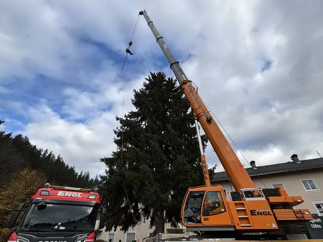 Foto: Nikolaus Kogler