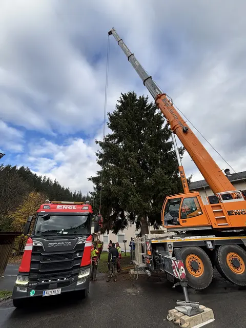 Foto: Nikolaus Kogler