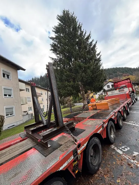 Foto: Nikolaus Kogler