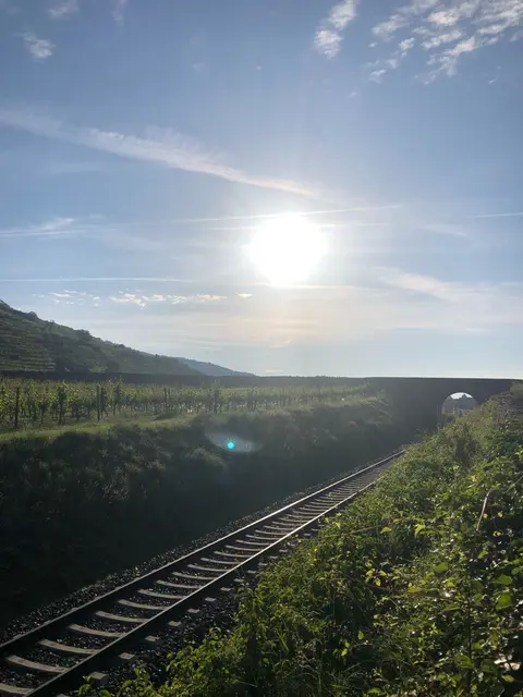 Sowohl für die Wachaubahn, als auch für die Linienbusse, gibt es keine Behinderungen! | Foto: em