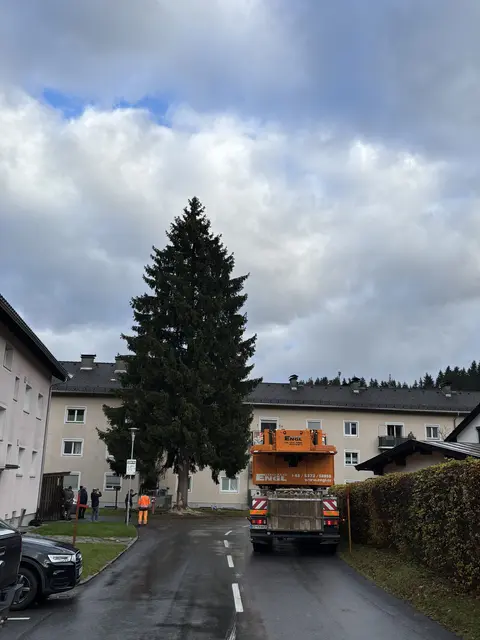 Foto: Nikolaus Kogler