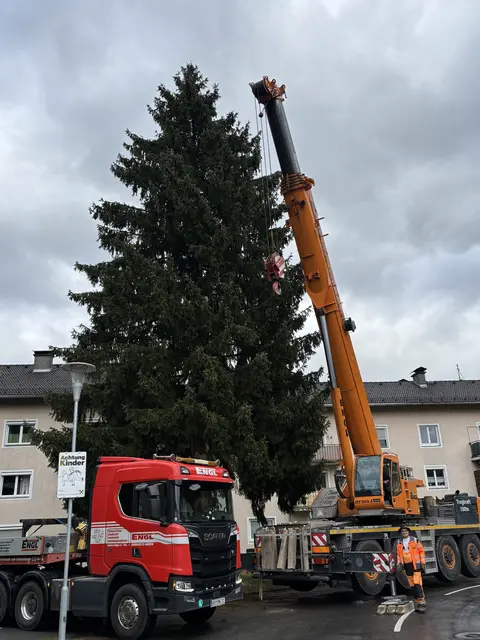 Foto: Nikolaus Kogler