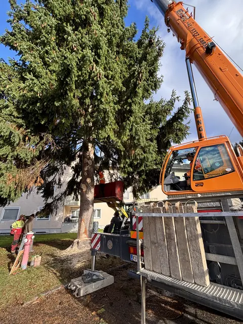 Foto: Nikolaus Kogler