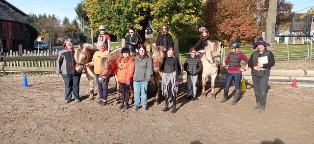 Foto: Reitverein Fjordpferde Tiefenthaler