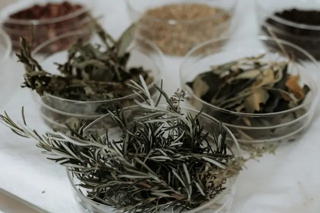 Natürliche Zutaten wie Kräuter, Blüten und Früchte ersetzen herkömmliche Aufgussmittel. | Foto: Gerald Gärtner