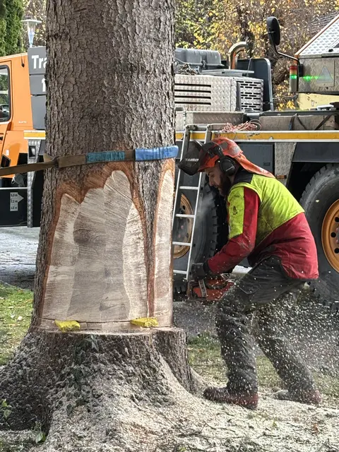 Foto: Nikolaus Kogler