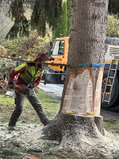 Foto: Nikolaus Kogler