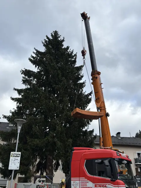 Foto: Nikolaus Kogler