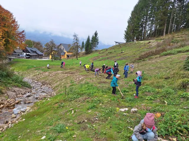 Foto: KLAR! Inneres Salzkammergut