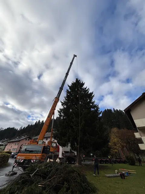 Foto: Nikolaus Kogler