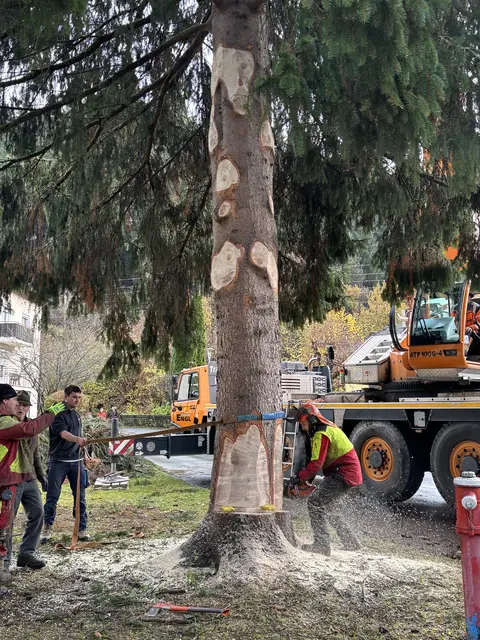 Foto: Nikolaus Kogler