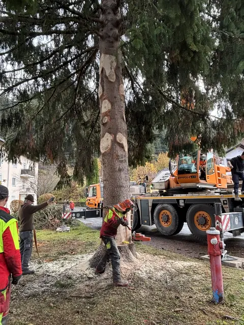 Foto: Nikolaus Kogler