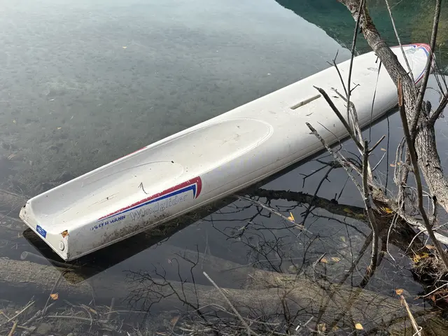 Das Surfbrett treibt schon seit einigen Tagen im Baggersee in Weißenbach. | Foto: Walter Leitgeb