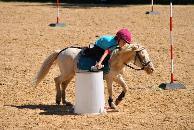 Sportlich konnte sich der Verein über drei Landesmeistertitel und zahlreiche Podestplätze freuen.  | Foto: Fotocredit Miteinander Füreinander
