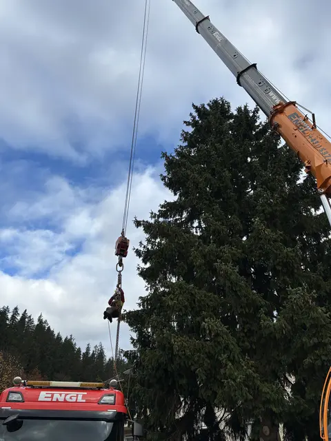 Foto: Nikolaus Kogler