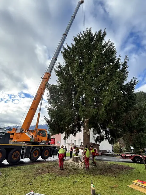 Foto: Nikolaus Kogler