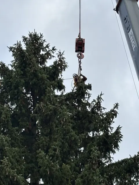 Foto: Nikolaus Kogler