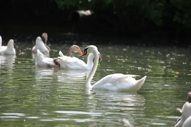 Foto: Pfotenhilfe/Sonja Müllner