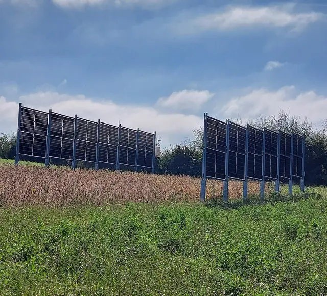 Versuchsfeld in Hargelsberg vor der Ernte 
 | Foto: FH OÖ