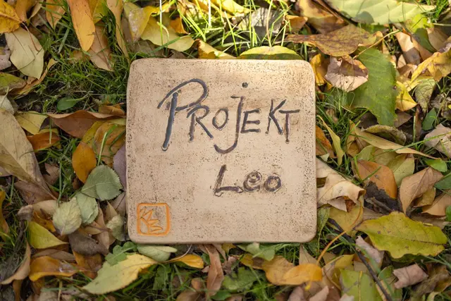 Foto: Rene Hofmann