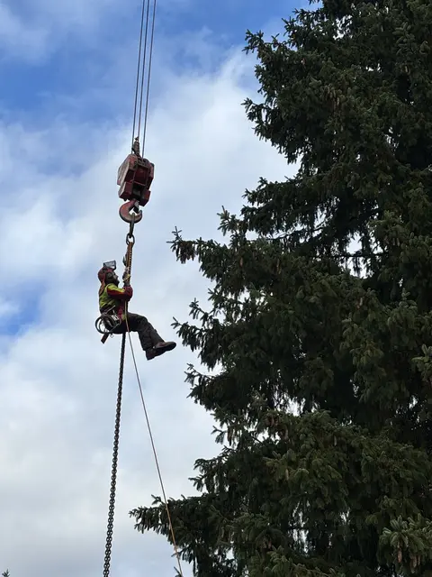 Foto: Nikolaus Kogler