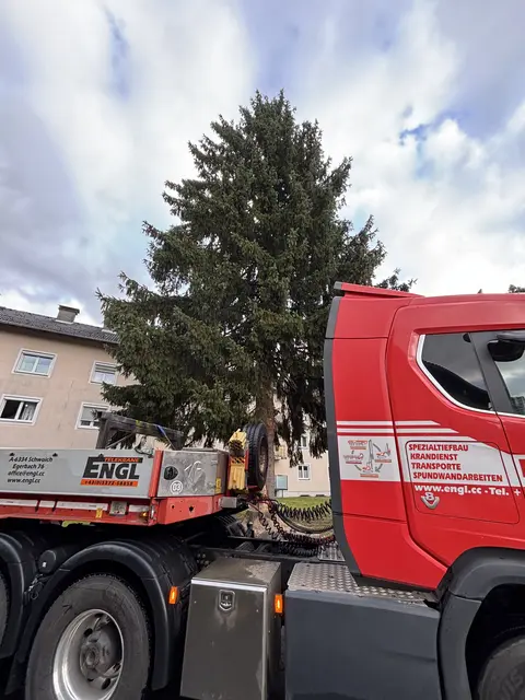 Foto: Nikolaus Kogler