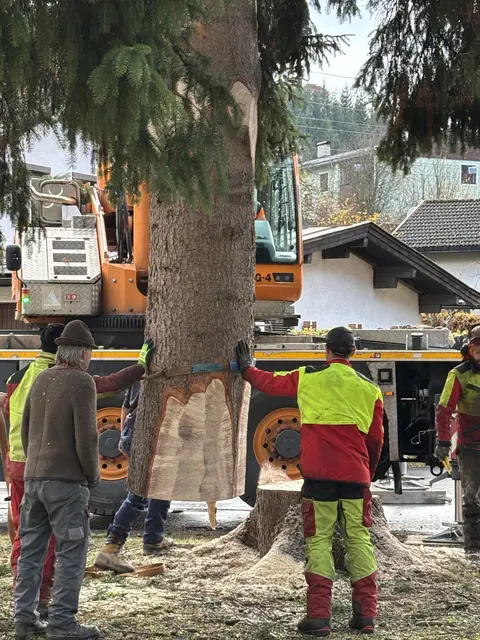 Foto: Nikolaus Kogler