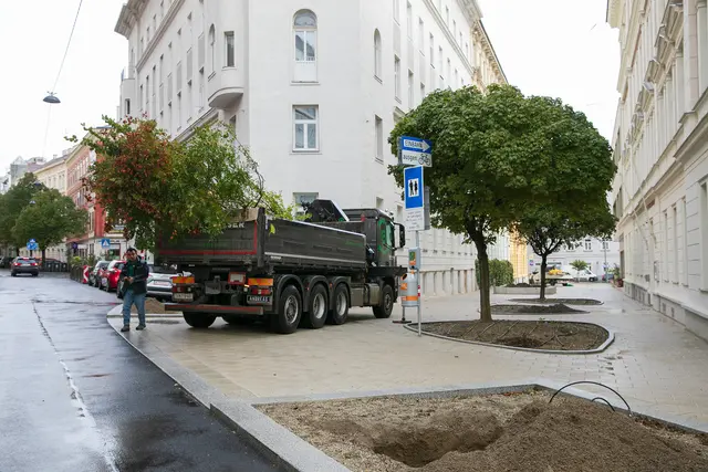 Bäume wurden in die Stumpergasse und in die Spalowskygasse geliefert. | Foto: BV6