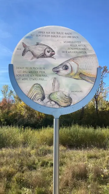 Die Info-Tafel zur Fischwanderhilfe. | Foto: Verbund